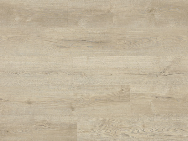 New Arrived Products